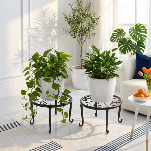 Rust-Proof Metal Floor Stand Plant Rack - Indoor/Outdoor,