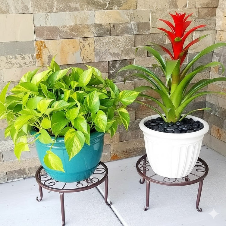 Rust-Proof Metal Floor Stand Plant Rack - Indoor/Outdoor,