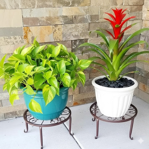 Rust-Proof Metal Floor Stand Plant Rack - Indoor/Outdoor,