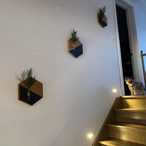2 Pc Hexagon Wood Frame With Glass Tube ( Plant Not Included)